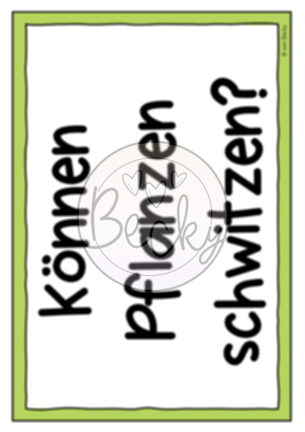 Wasser: Wasserkreislauf (Bodenschichten, Salzwasser, Verdunstung) – Bild 2